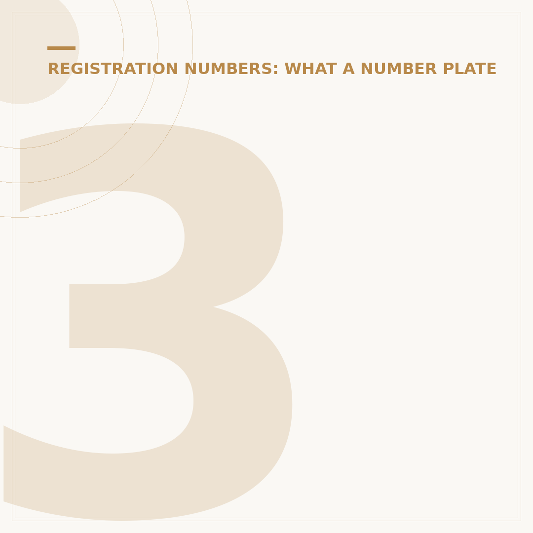 3D Reg Plates: Style, Legality & How to Order