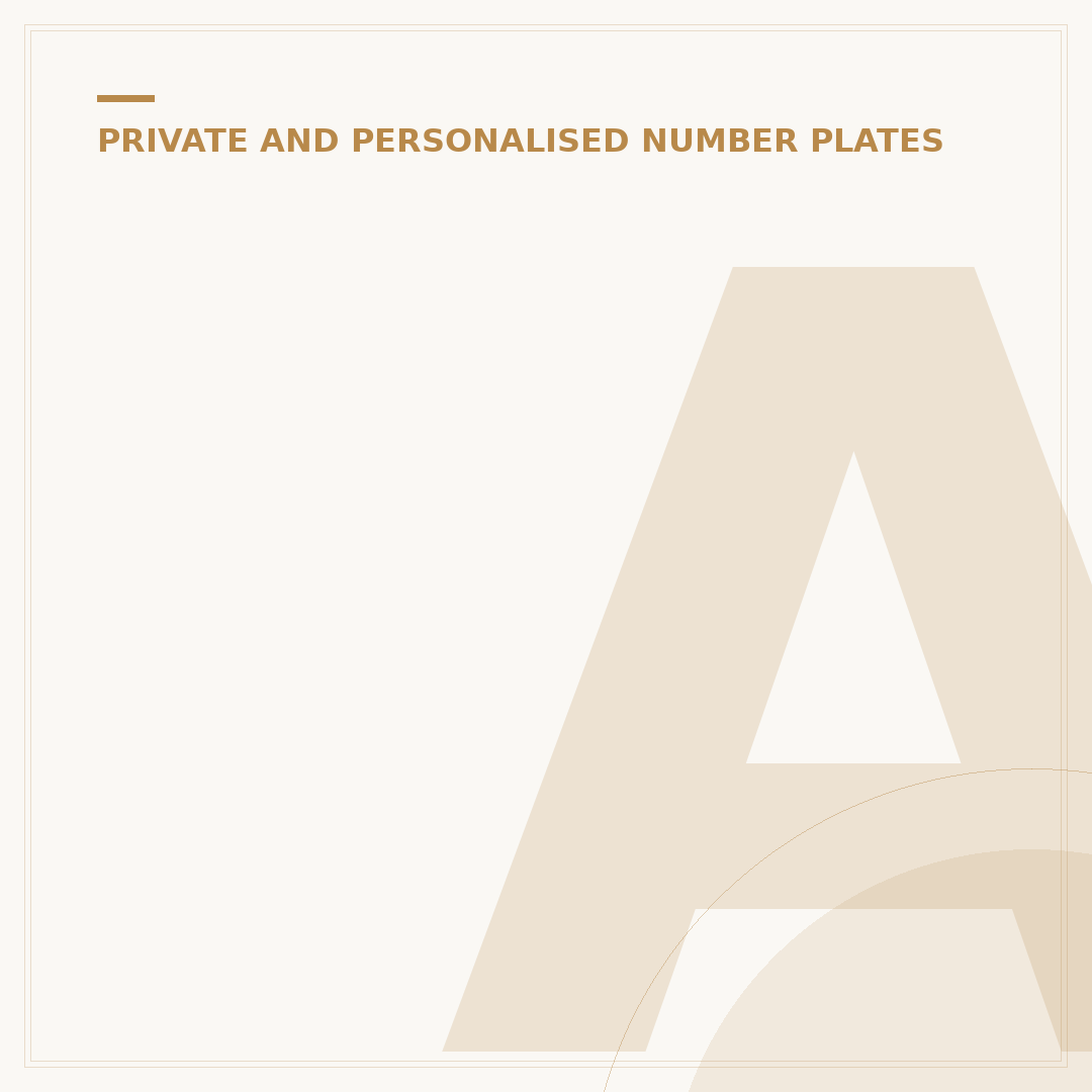 Adding a Private Plate to a Car