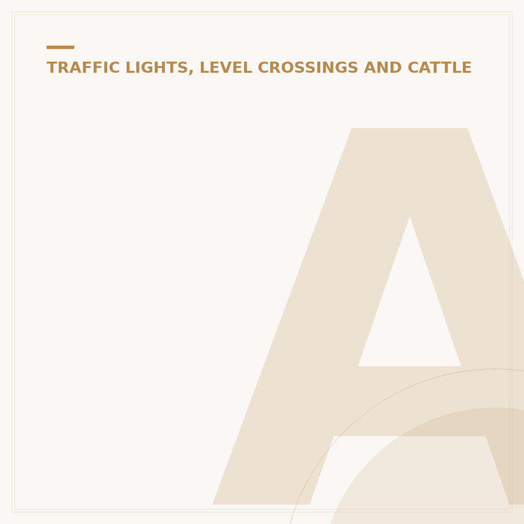 Amber Beacon Lights: Purpose, Types & Selection