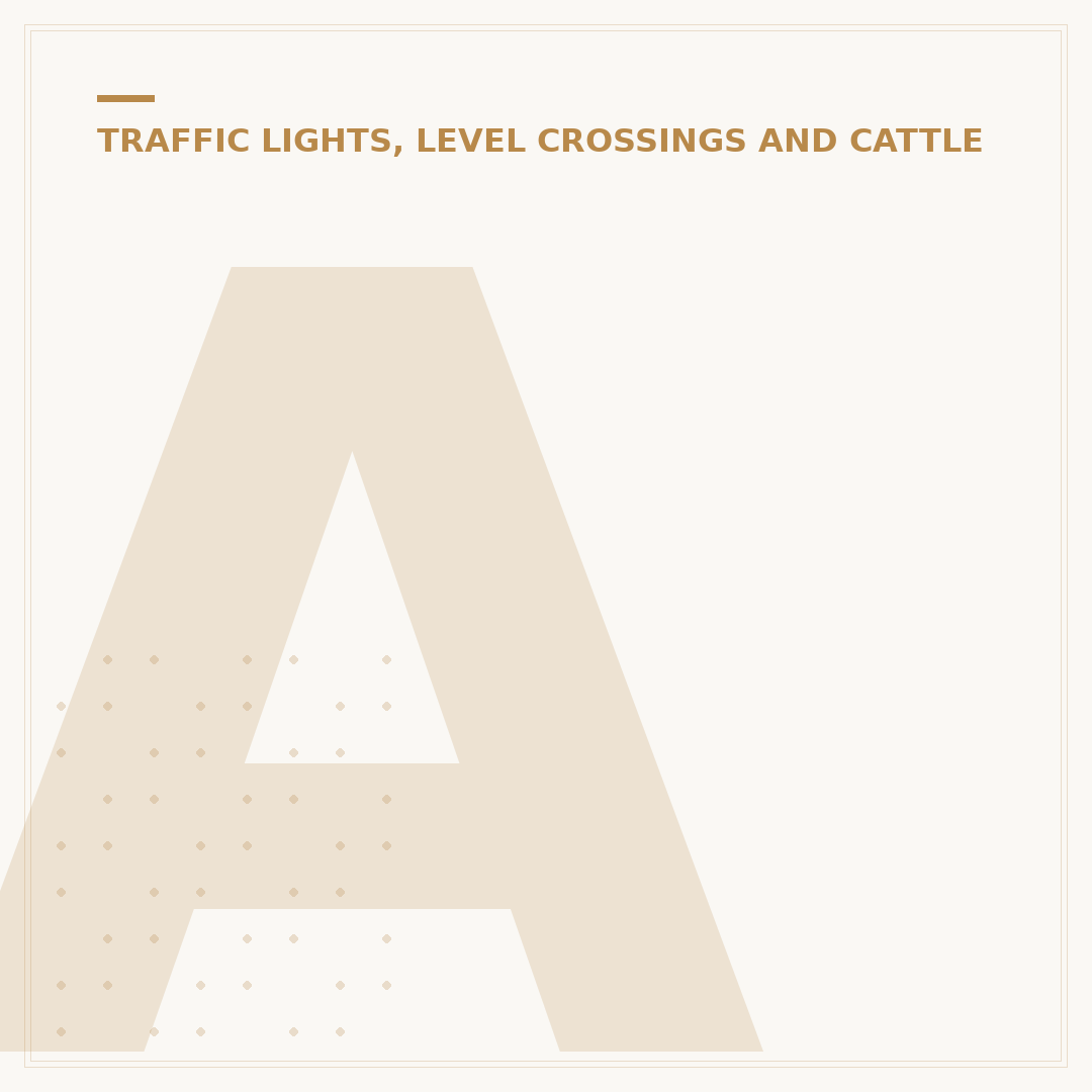 Amber Flashing Beacon on Dual Carriageway: What It Means