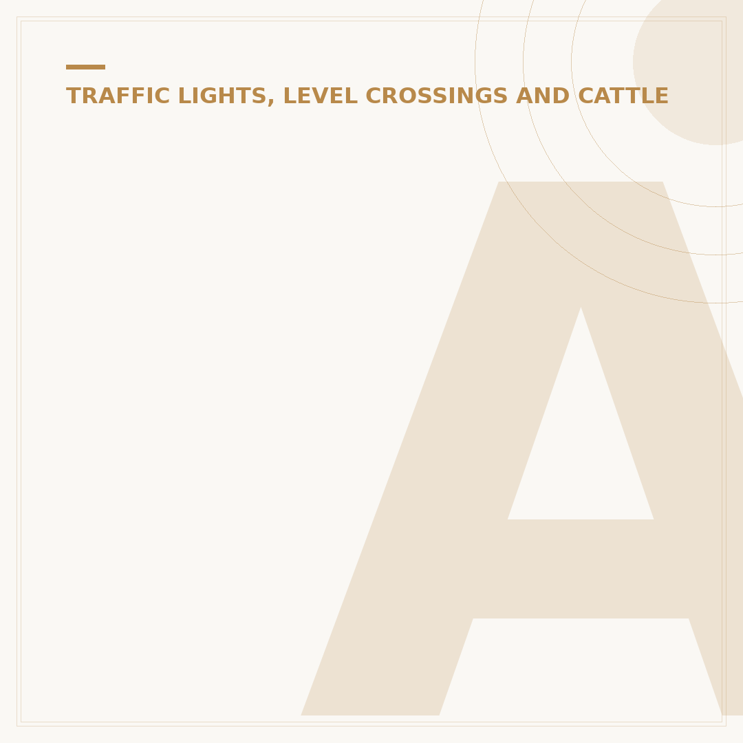 Amber Glass Lights: Styles and Considerations