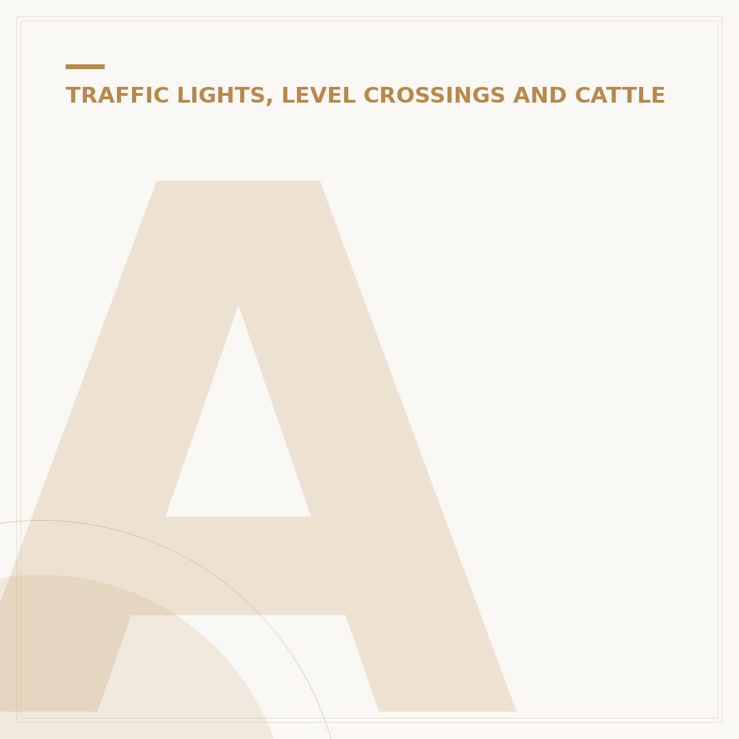 Amber Light Bulbs: Enhance Ambiance and Comfort