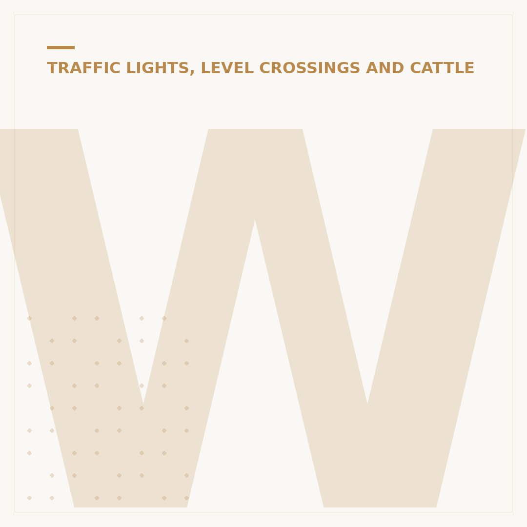 What Does the Amber Light Mean at Traffic Lights?