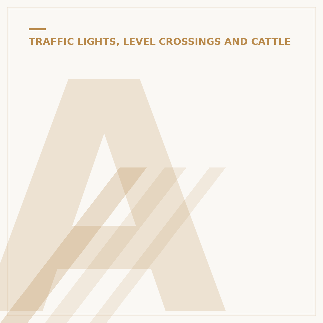 Amber Light Shows On Its Own: What It Means & How To Check