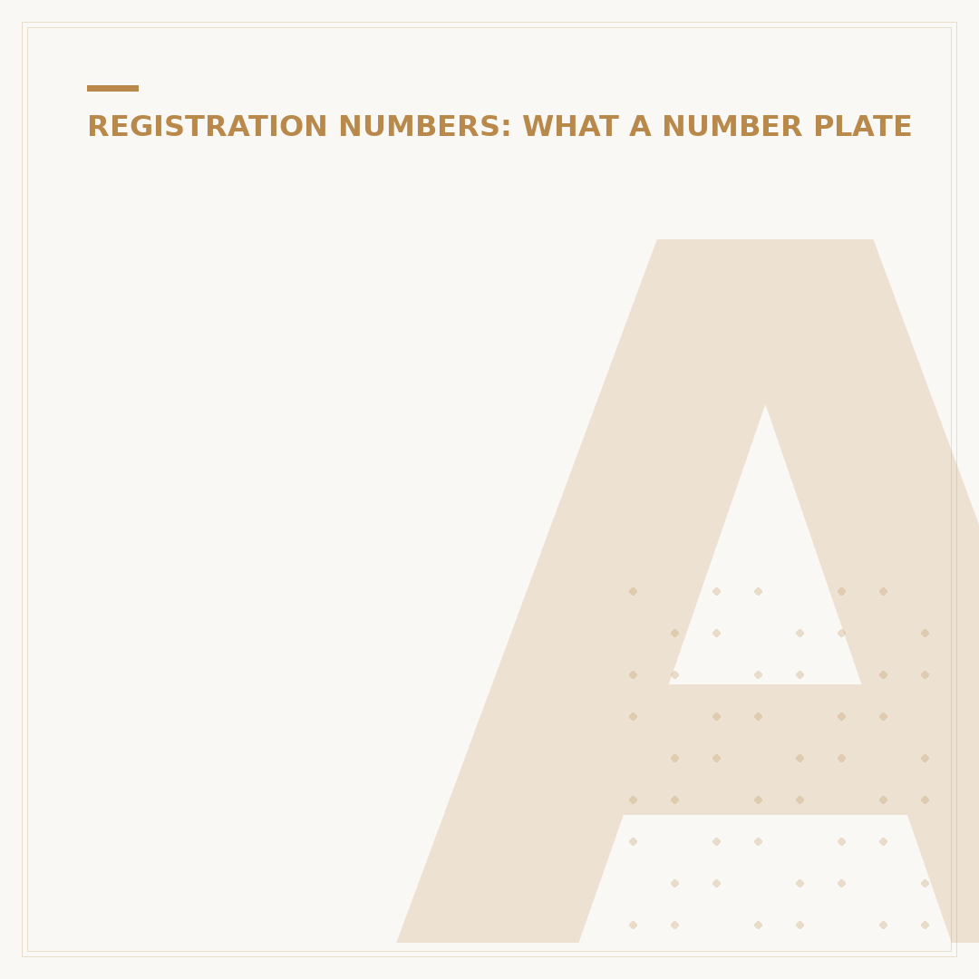 Auto Number Plate Recognition Explained
