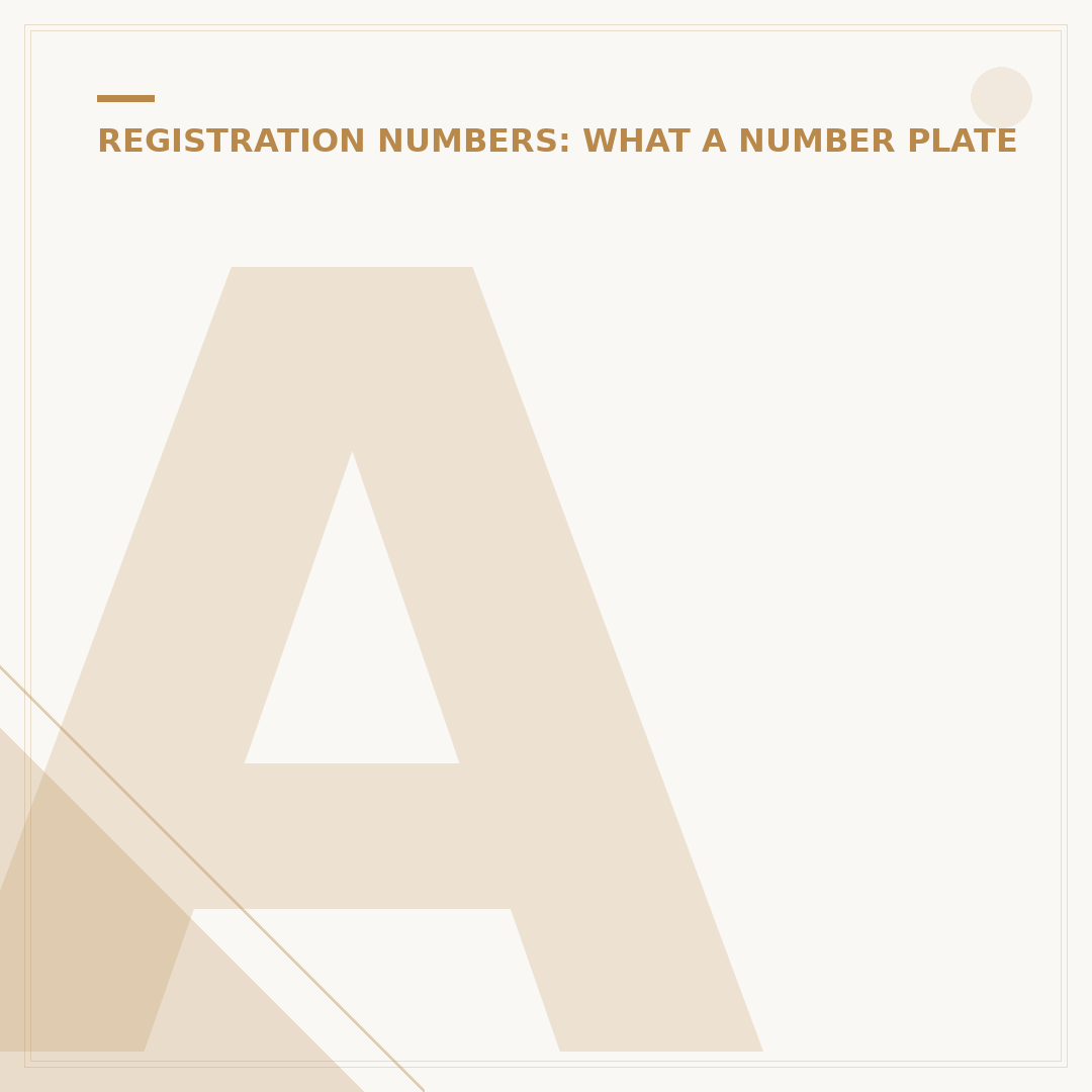 Automatic Number Plate Recognition Explained