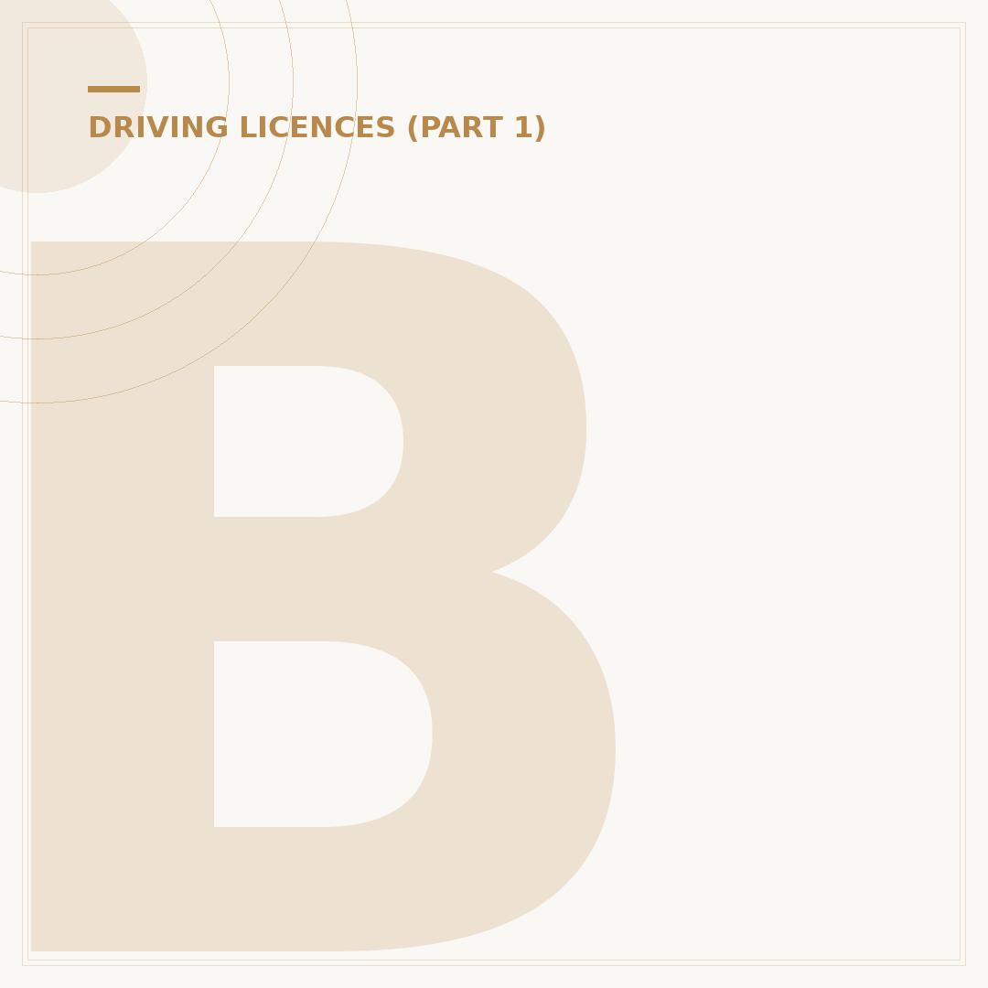 Back of Driving Licence Explained: What's Printed?