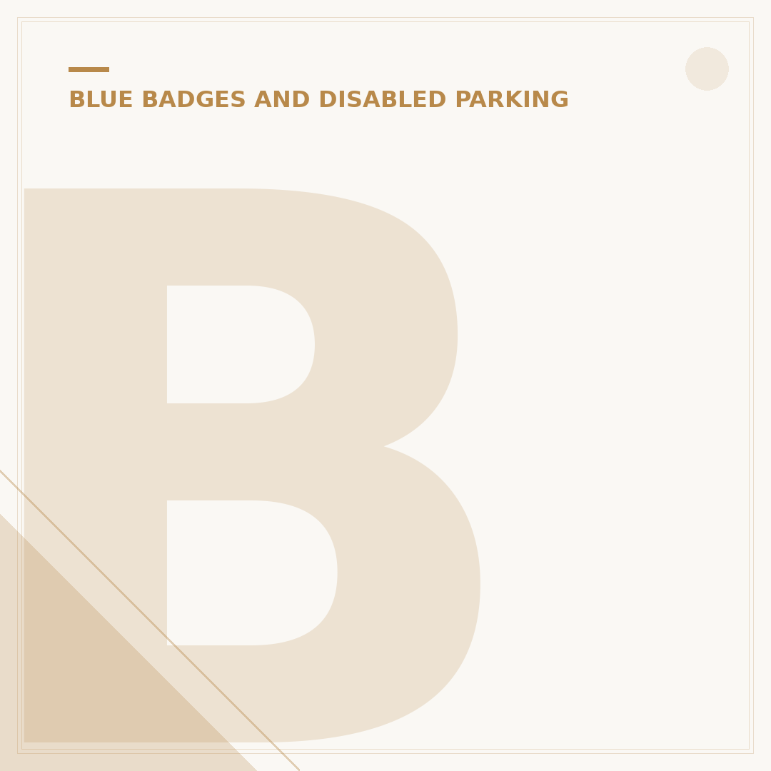 Blue Badge for Mobility Scooter: Do You Need One?