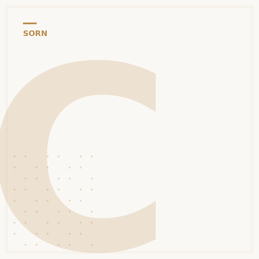Car Declared SORN: What It Means & How To Do It