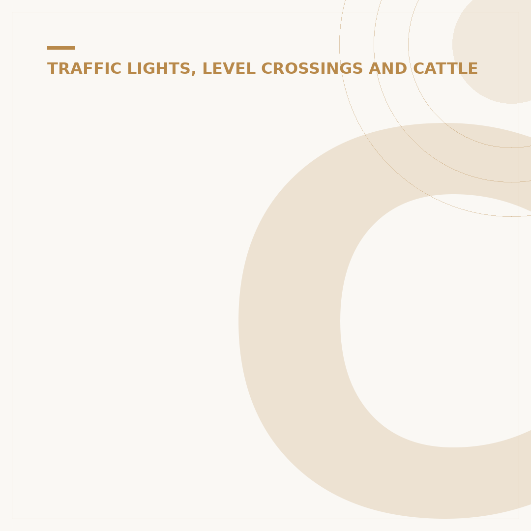 Cattle Grid Ahead: What to Do and Why