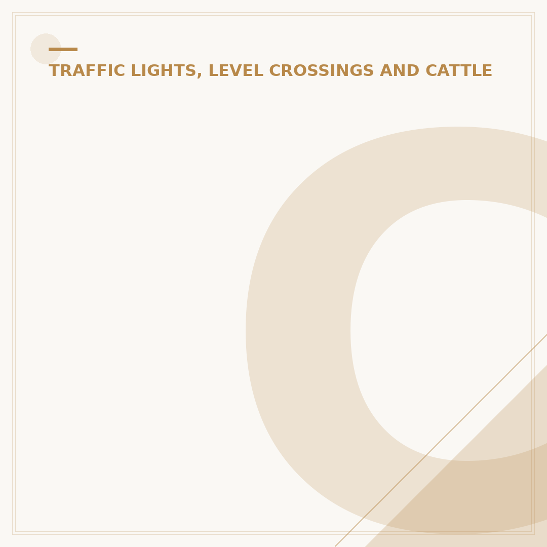 Cattle Grid Sign Explained: Safety and Regulations