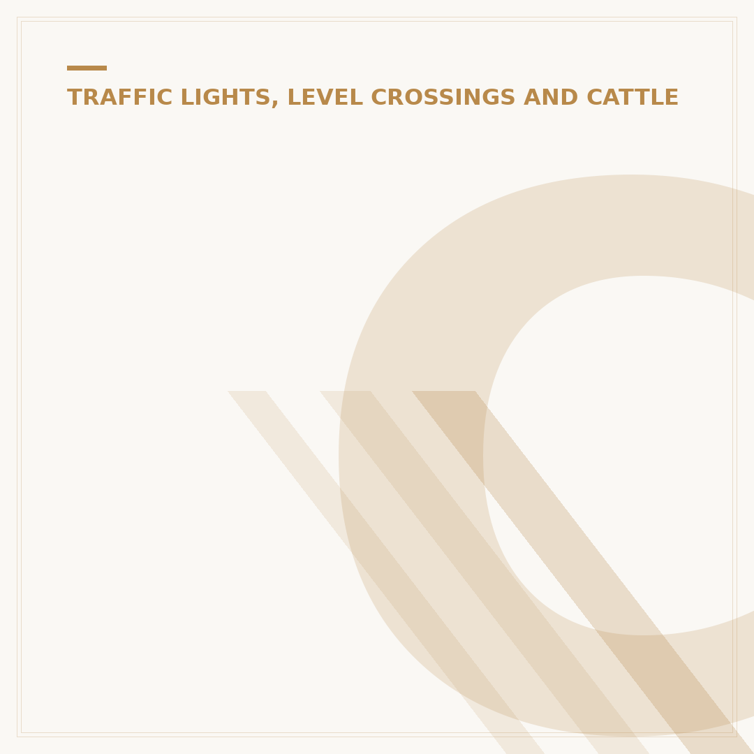 Cattle Grids Explained: Types, Installation & Maintenance
