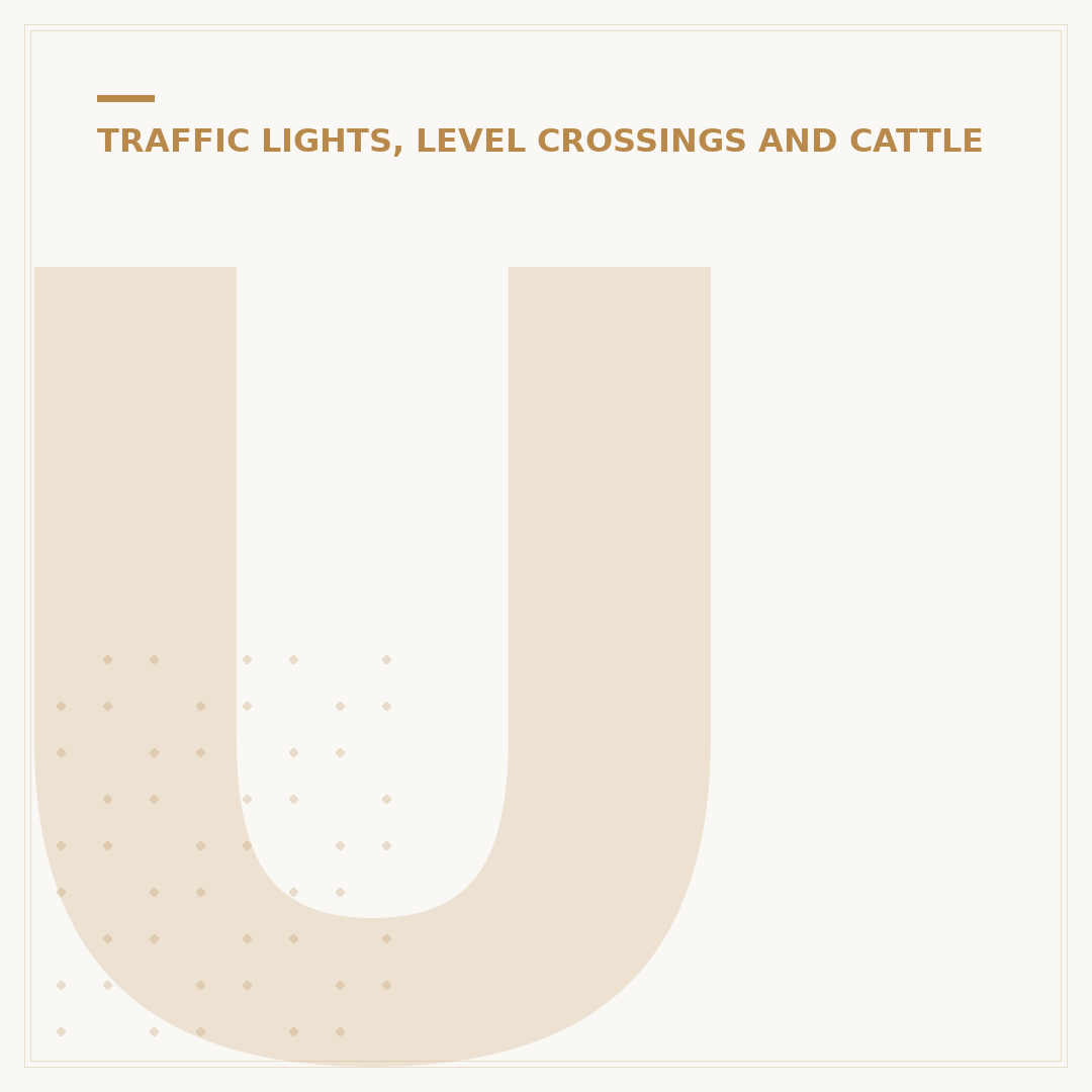 Understanding Different Types of Traffic Lights