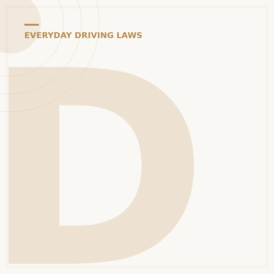 Dogs in Cars: UK Law and Safe Travel Rules