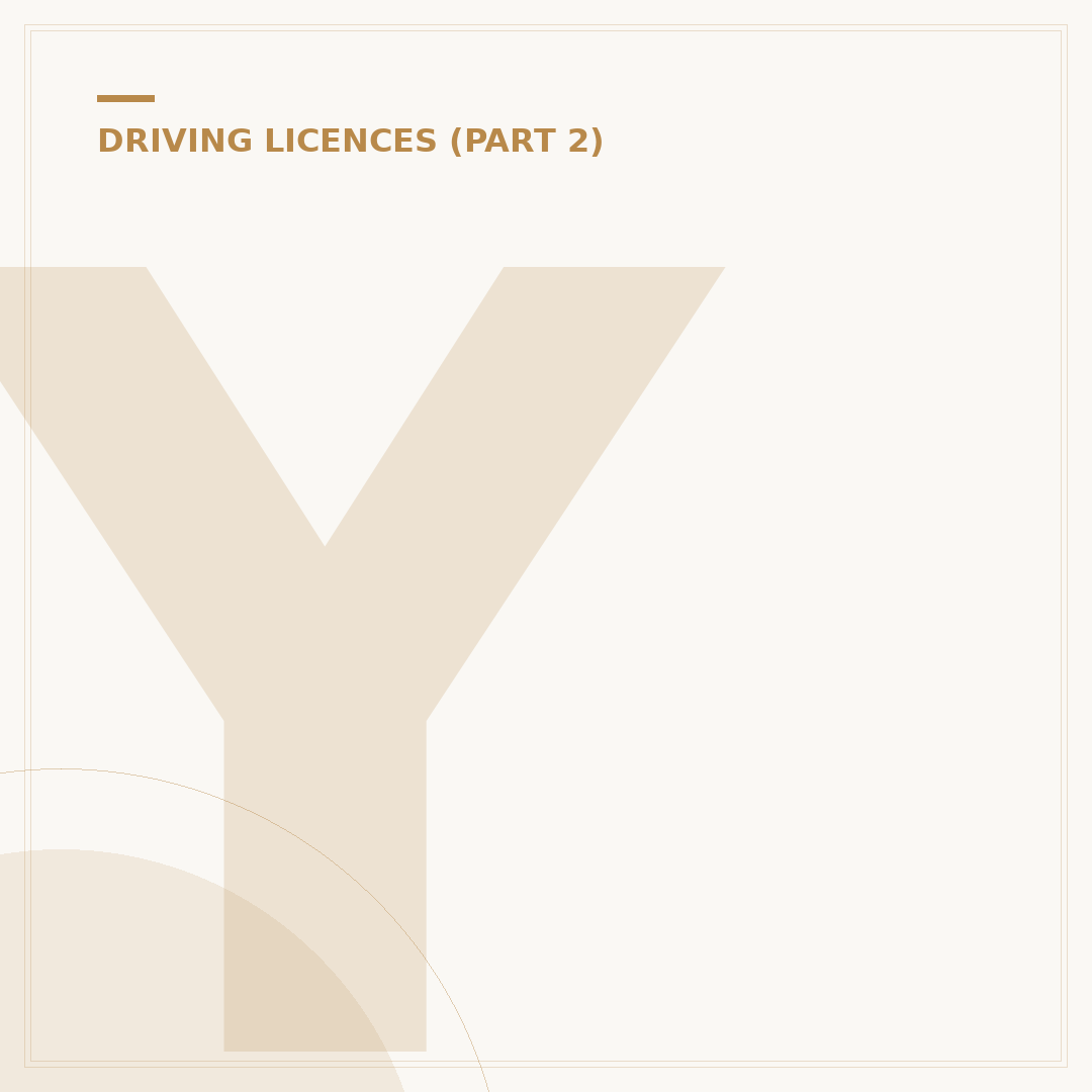 Your UK Driving Licence ID Number Explained