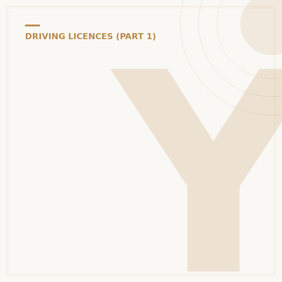 Your UK Driving Licence Number Explained