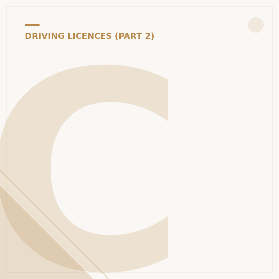 Can I Use My Driving Licence Photo for My Passport?
