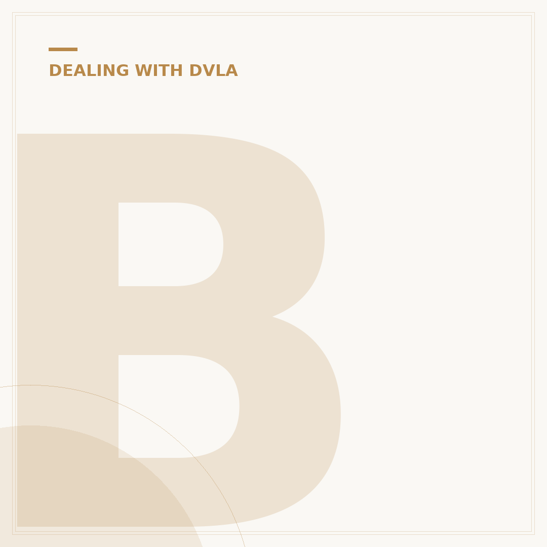 Bought a Car and the DVLA