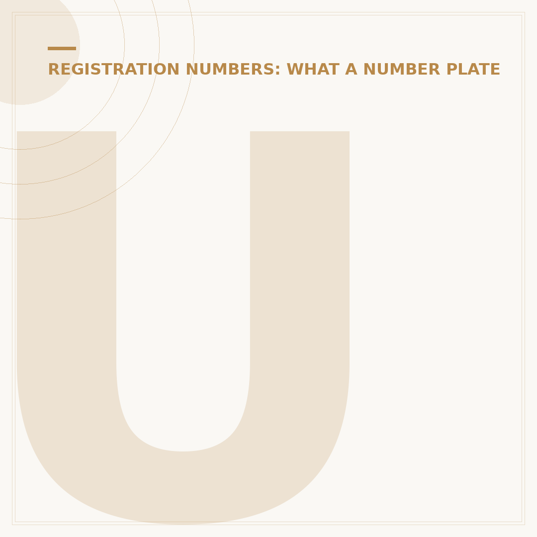 Understanding DVLA Number Plate Fine Rules in the UK