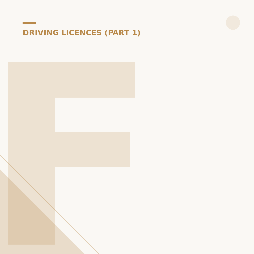 Fake Driving Licence: Risks and What to Avoid