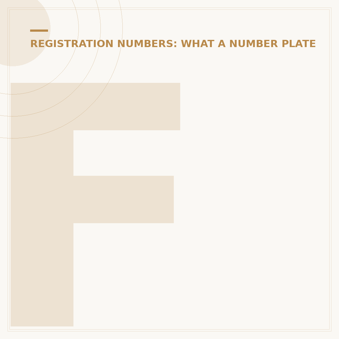 Fake Number Plates: Legality and Consequences
