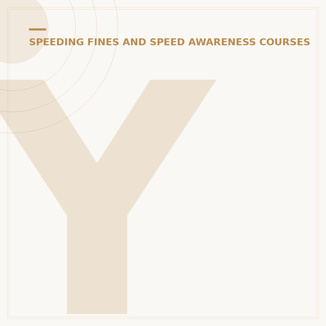 Your First Speeding Ticket: What Happens Next?