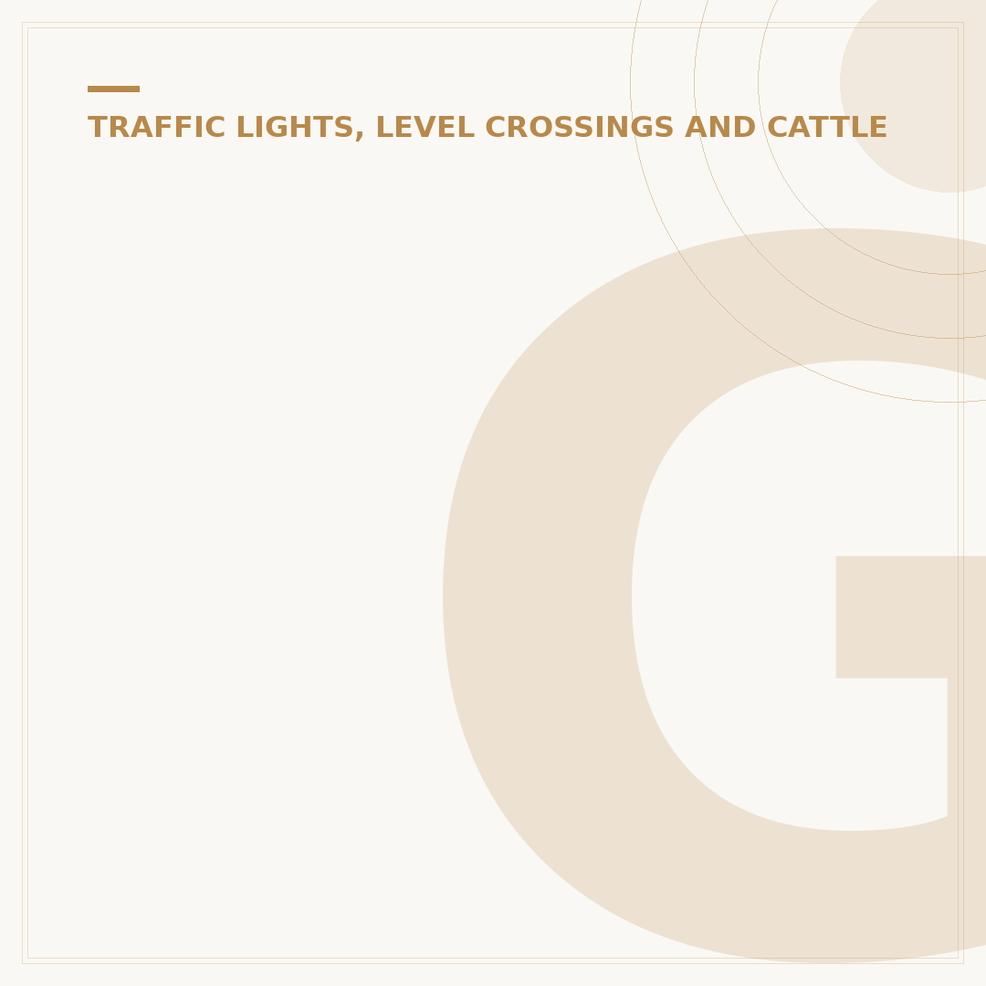 Green Man Traffic Lights Explained: Pedestrian Safety