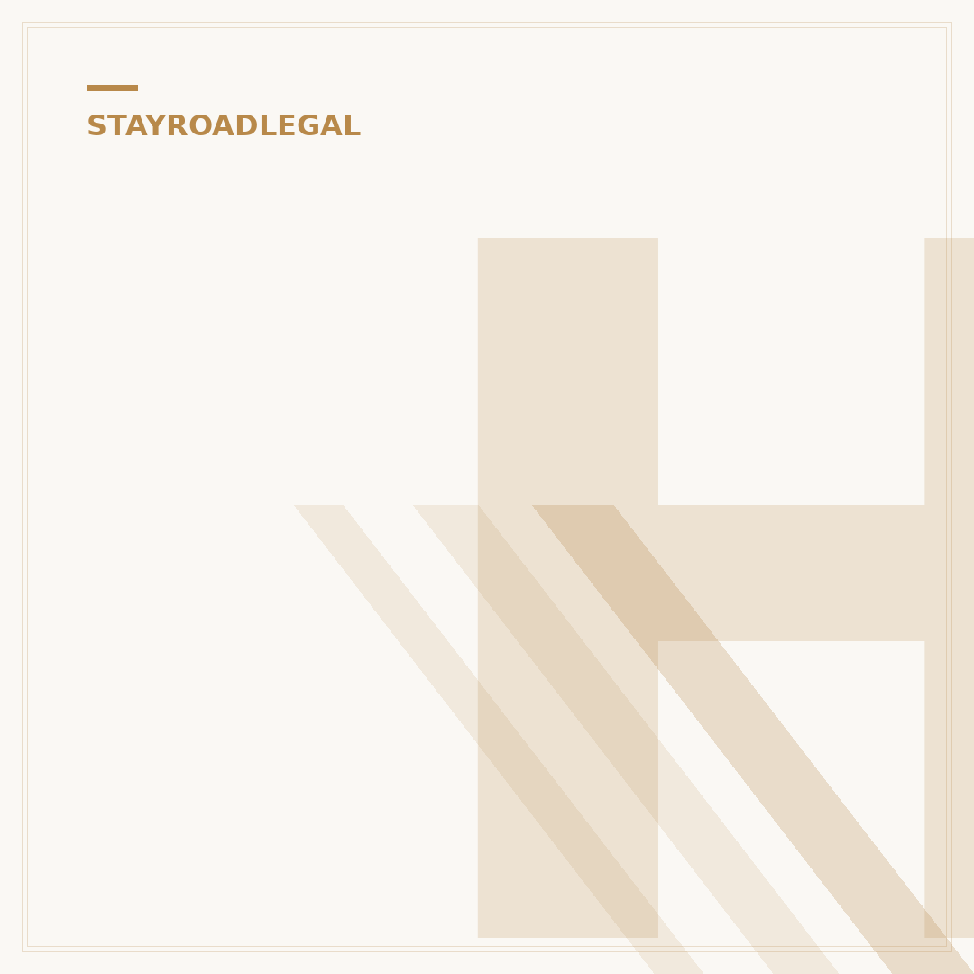 How Many Parking Tickets Can You Get Per Day?