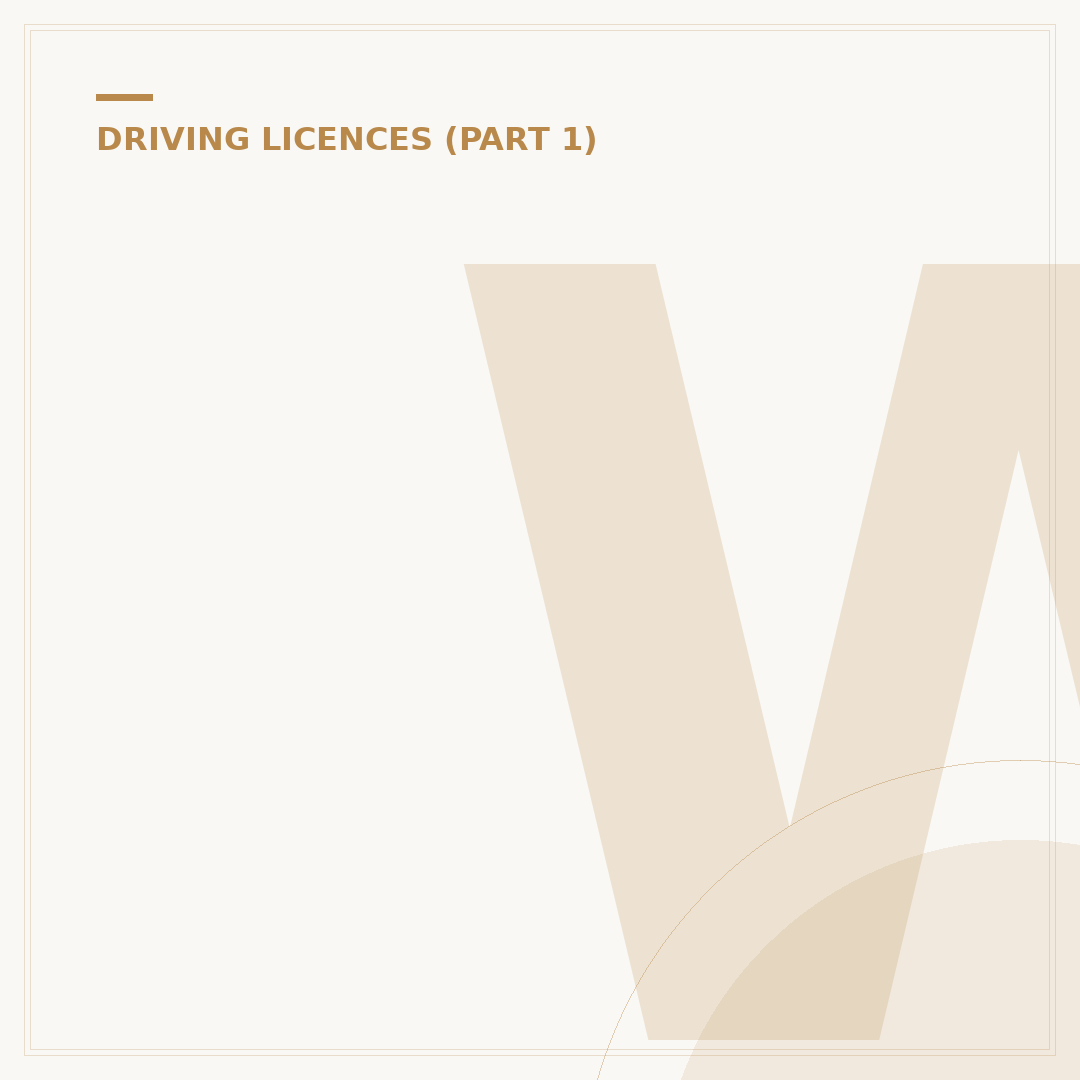 What is an IRL Driving Licence?