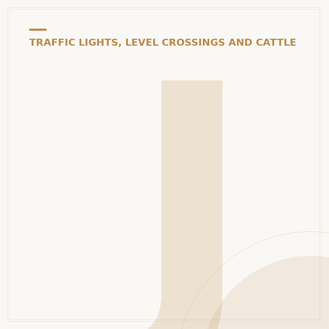 Jumping Red Light Penalty: UK Fines and Consequences
