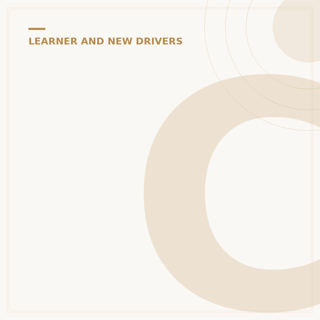 Can I Have Passengers as a Learner Driver?