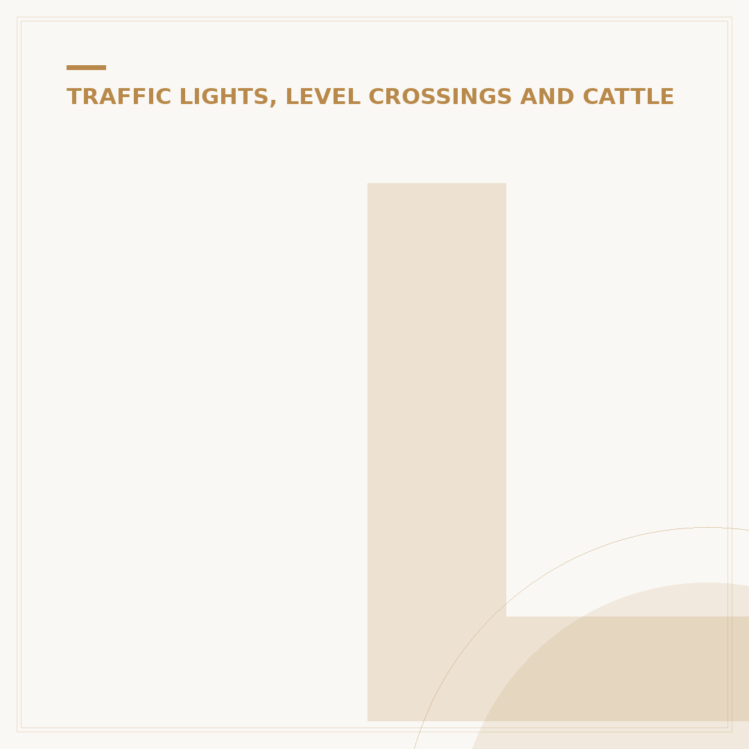 Level Crossing With Gate Sign: Safety and What to Know