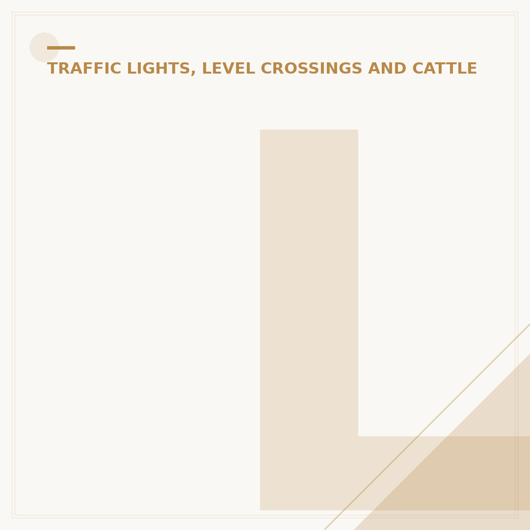 Level Crossing with Gate: What You Need to Know