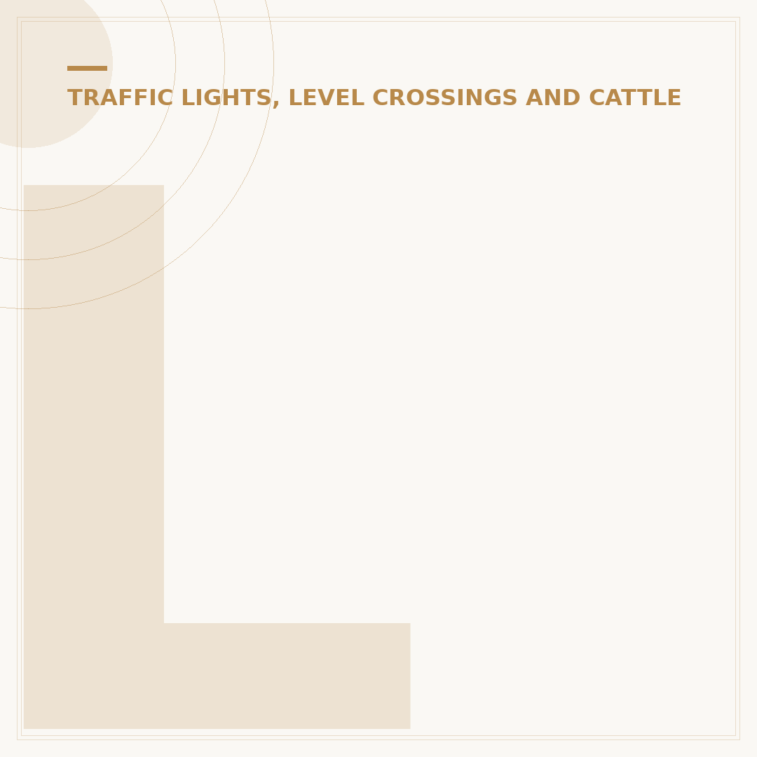 Level Crossing Without Gate or Barrier Sign