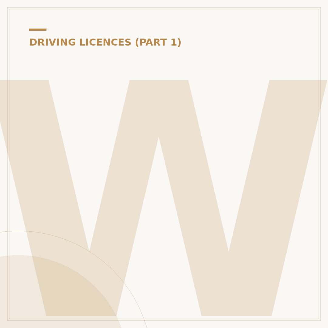 What to Do If You Lose Your Driving Licence