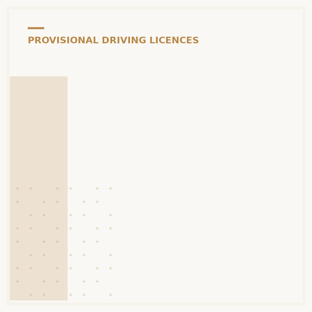 I Have Lost My Provisional Licence