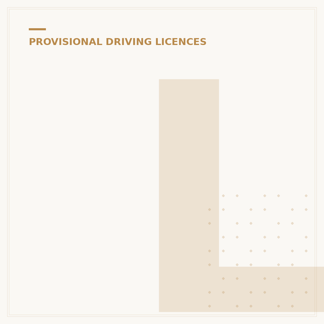 Loss of a Provisional Driving Licence