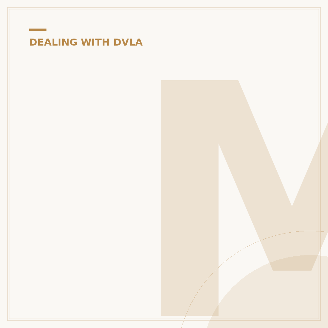 Marbelia Davison DVLA Error: What to Check