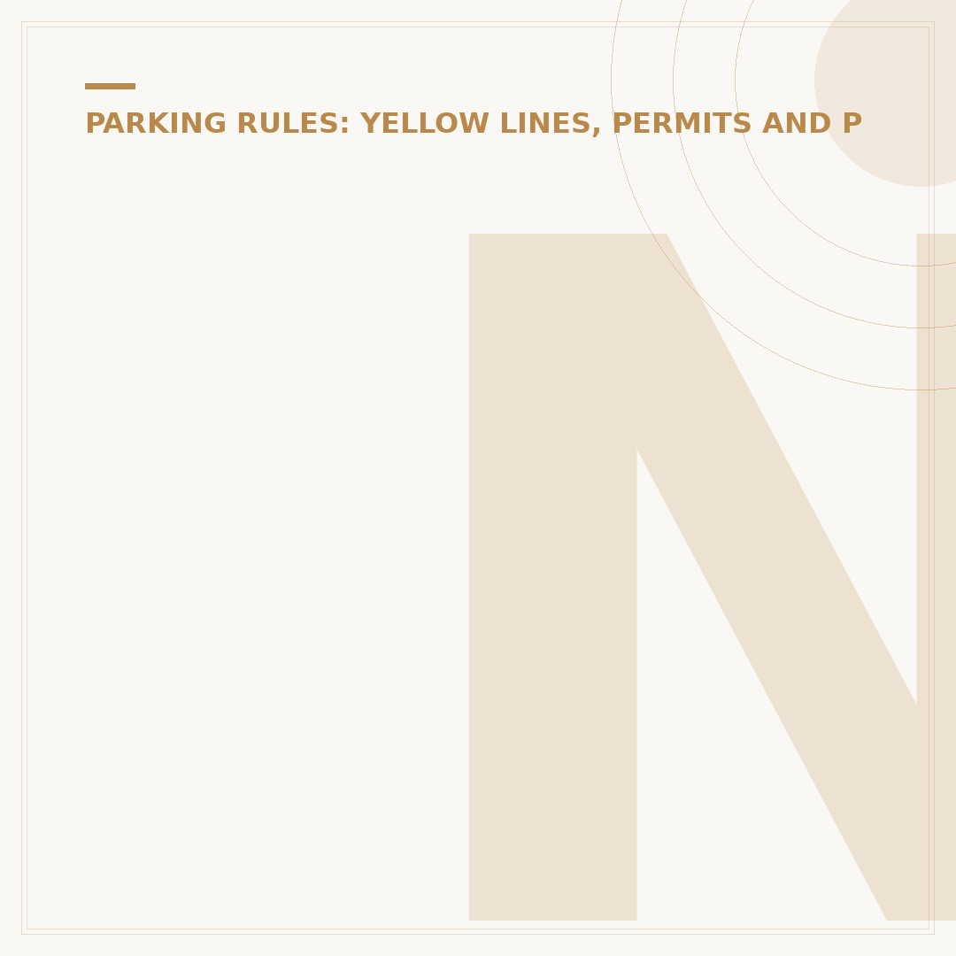 National Parking Control Appeal: Avoid Mistakes & Win