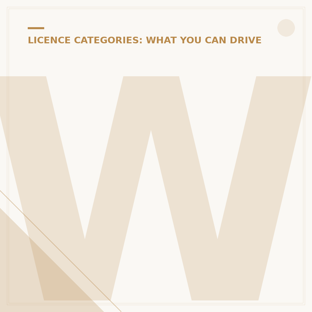 What Category is a Normal Driving Licence?