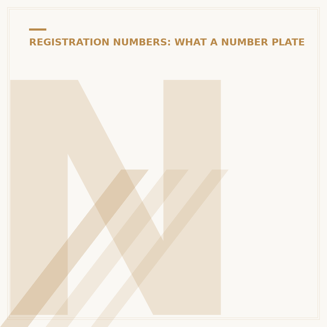 Number Plate Bulb Replacement