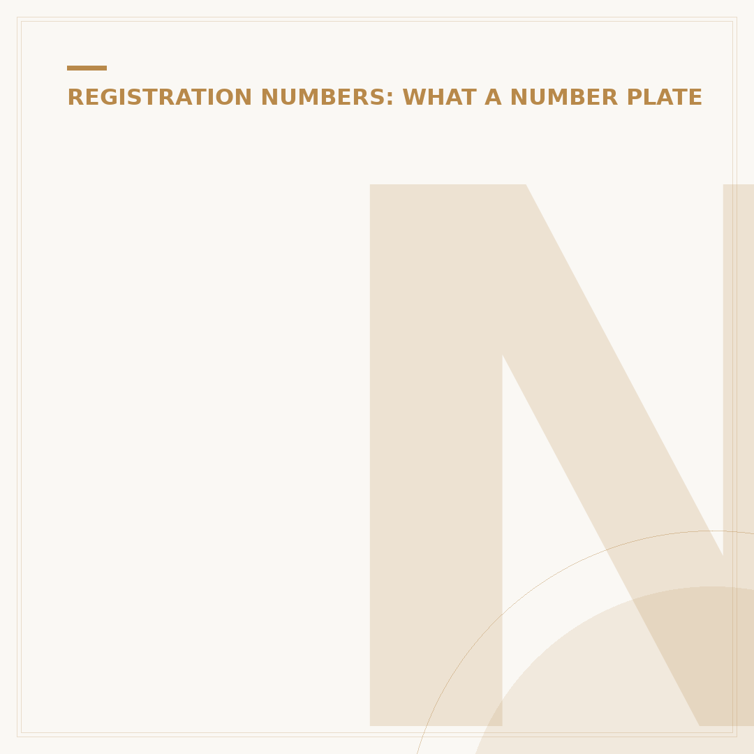 Number Plate Removal: DVLA Process & Practicalities