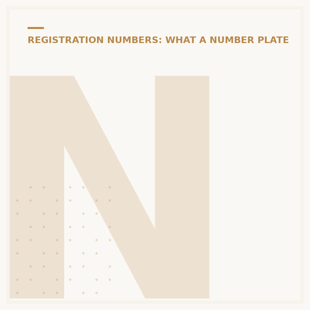 Number Plates Without Documents