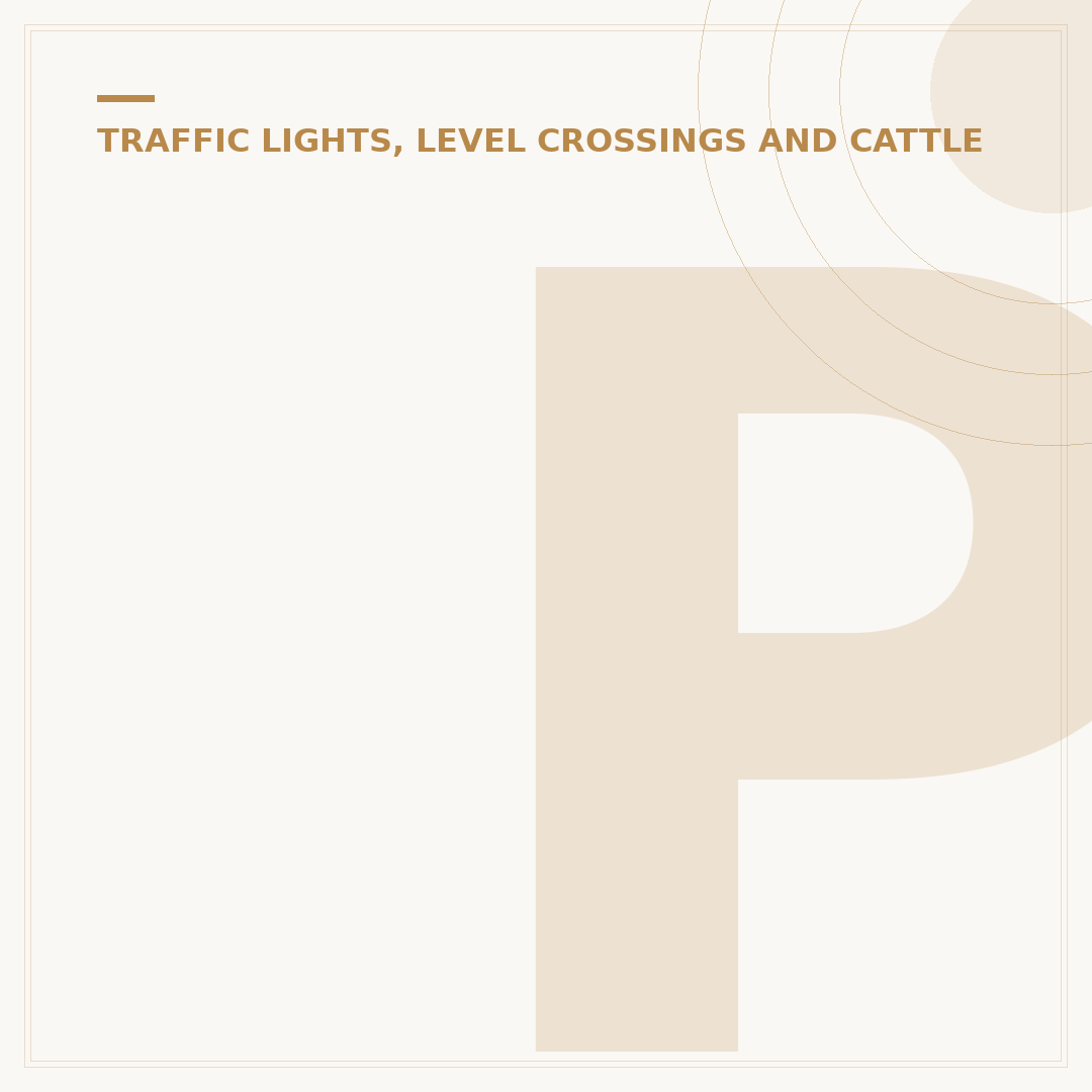 Penalty for Running a Red Light: UK Fines & Points
