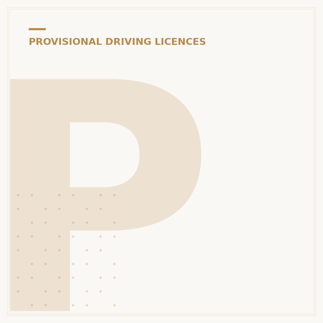 Provisional Bike Licence