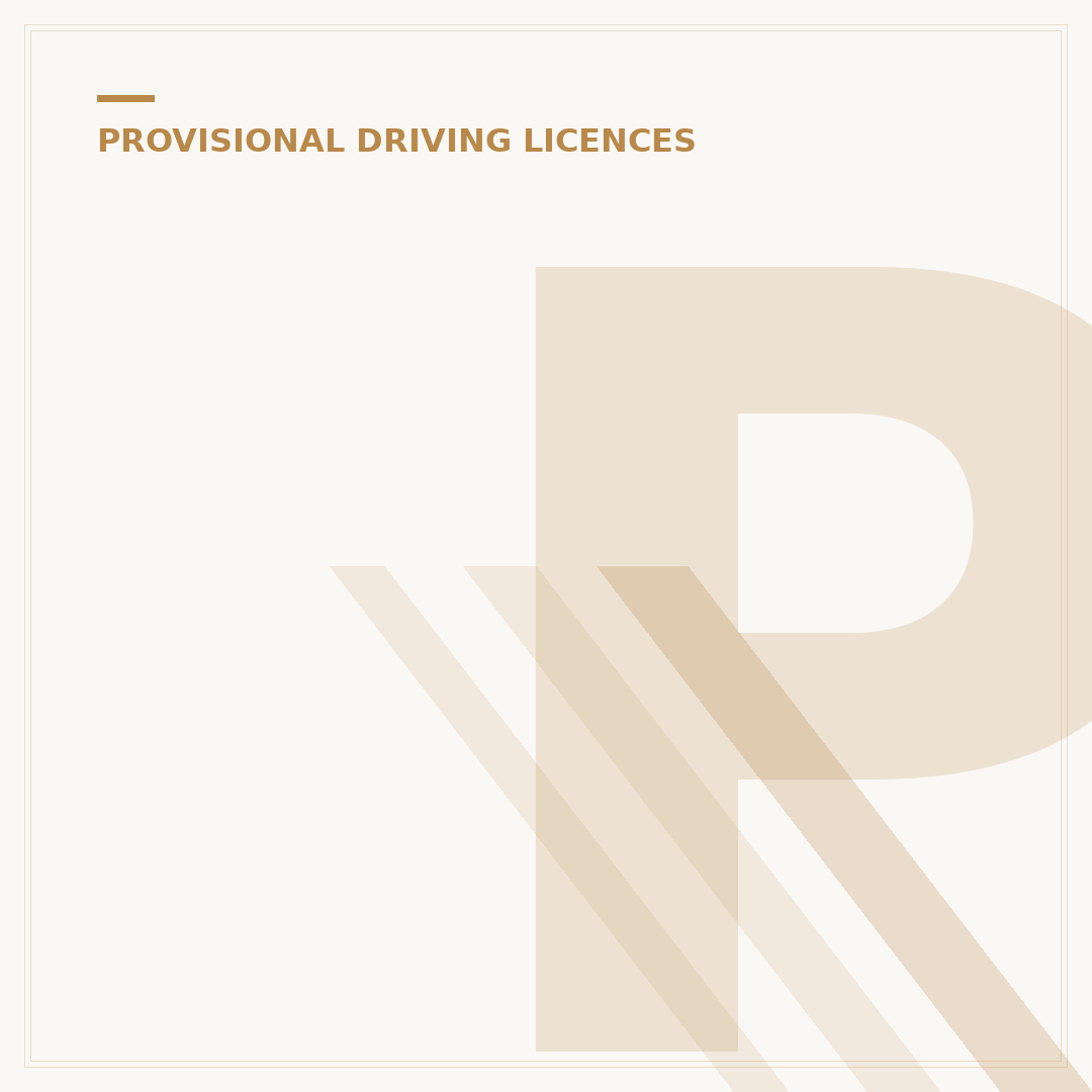 Provisional Driving Licence