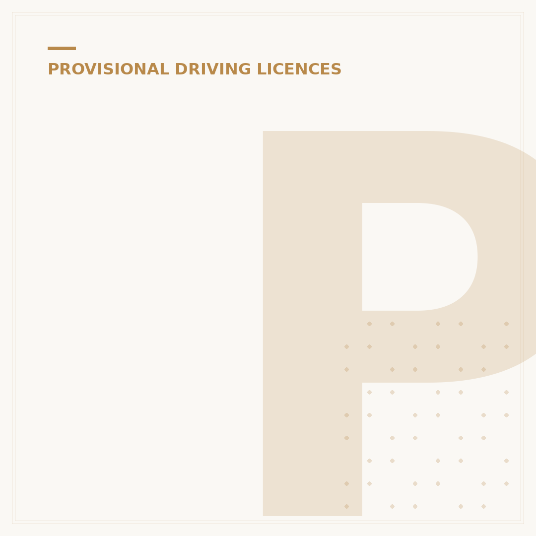 Provisional Licence in Northern Ireland