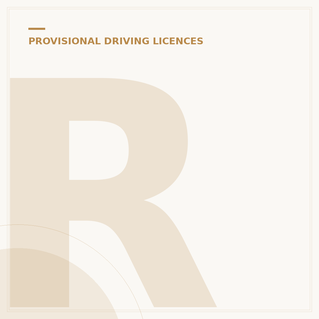 Reapply for a Provisional Driving Licence