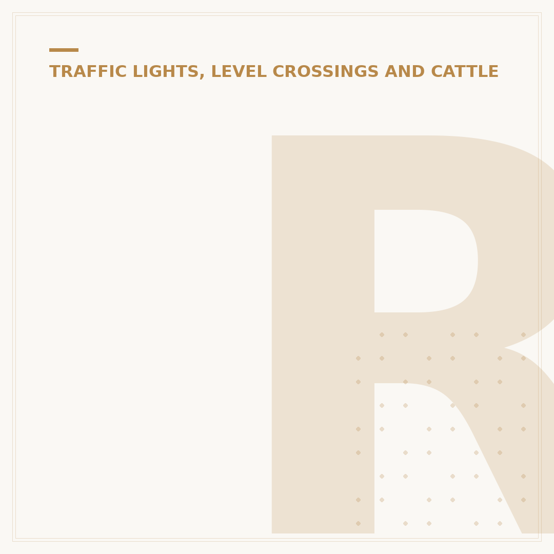 Red Amber Traffic Light: What It Means & How to React