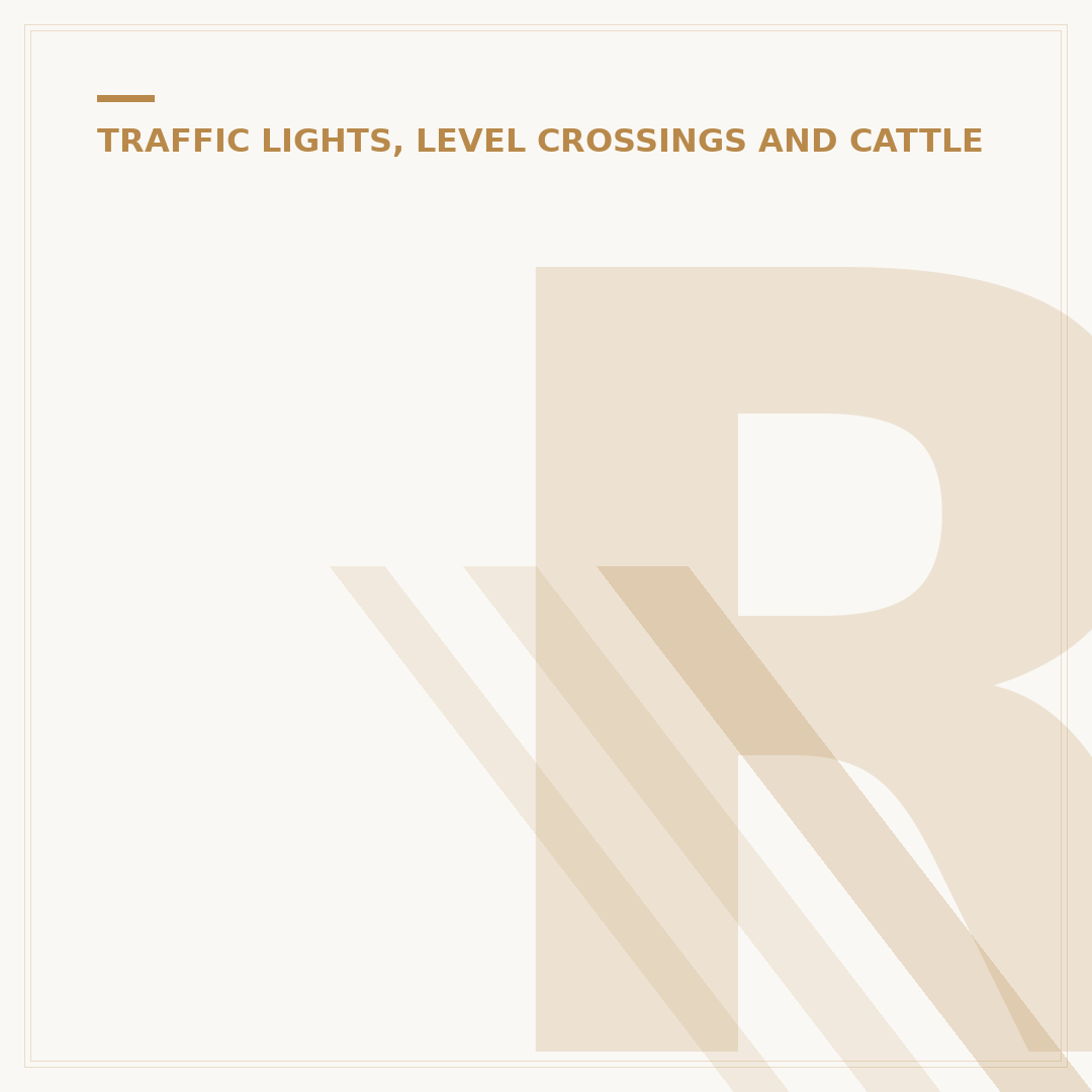 Red Light Fine UK: Penalties and What to Expect